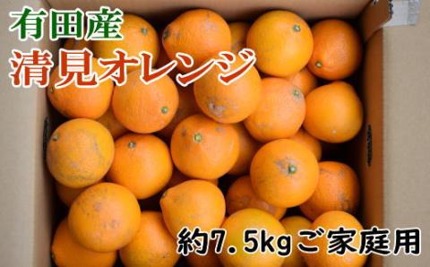 【産直】有田産清見オレンジ 約7.5kg（訳あり家庭用サイズおまかせまたは混合） ※2026年2月上旬～2026年3月下旬頃頃次発送予定（日付指定不可）【tec867A】