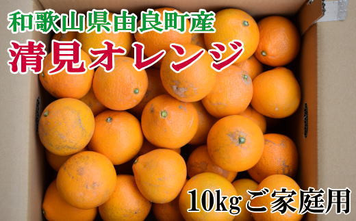【訳あり・ご家庭用】和歌山由良町産の濃厚清見オレンジ約10kg　※2026年2月中旬～2026年2月下旬頃より順次発送（お届け日指定不可）【tec877A】