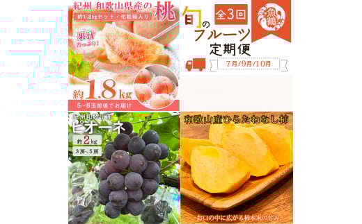 【全3回】紀州和歌山産旬のフルーツ定期便 (桃・ピオーネ・ひらたねなし柿)【tkb371】