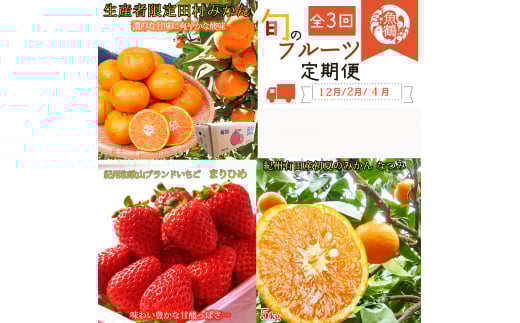 【全3回】紀州和歌山産旬のフルーツ定期便 (田村みかん・いちご・なつみ) 【tkb374】