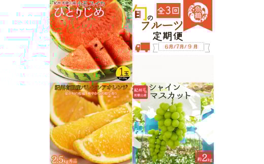 【全3回】紀州和歌山産旬のフルーツセット(スイカ・バレンシア・シャイン)/ 果物定期便 フルーツ定期便 バレンシア オレンジ 柑橘 くだもの 果物 すいか スイカ シャインマスカット 【tkb395】