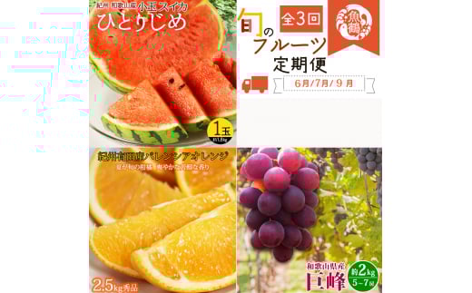 【全3回】紀州和歌山産旬のフルーツセット(スイカ・バレンシア・巨峰) / 果物定期便 フルーツ定期便 バレンシア オレンジ 柑橘 くだもの 果物 すいか スイカ シぶどう 巨峰 【tkb396】
