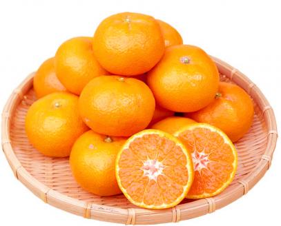 高級ブランド田村みかん　5kg【予約】※2024年11月下旬頃～2025年1月下旬頃に順次発送予定(お届け日指定不可)【uot504A】