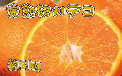 果肉プリプリ♪　完熟紀州デコ(不知火) 約3kg ＜2026年2月下旬頃～2026年3月中旬頃発送＞【uot706A】
