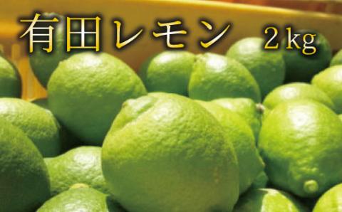 [国産]紀州和歌山 有田レモン 約2kg[ard031A] レモン 檸檬 れもん 果物 フルーツ 柑橘