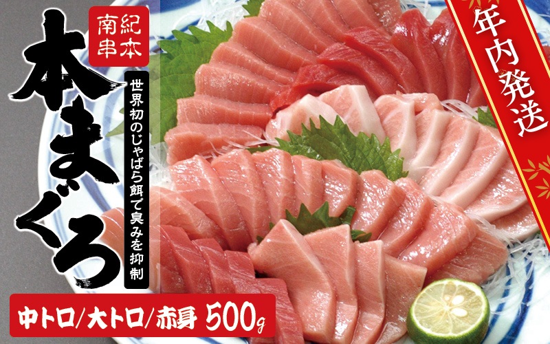 [年内発送受付25日まで!]まぐろ 本マグロ 大トロ&中トロ&赤身セット 500g(養殖)[お正月予約 12月25日〜30日発送]濃厚な赤身と高級部位トロの鮪好きにはたまらないセット [nks110D-sg]