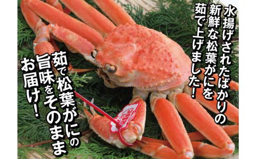 鳥取県産 訳あり茹で松葉がに【中村商店】