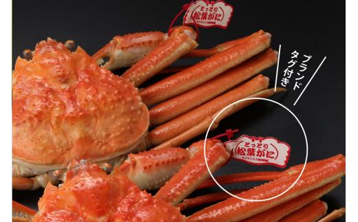 鳥取県産 タグ付き茹で松葉がに【中村商店】