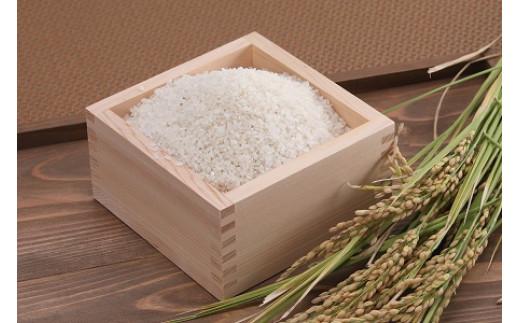 【先行予約】鳥取県産特別栽培米こしひかり ( 10kg )【2025年9月上旬稲刈り後出荷】