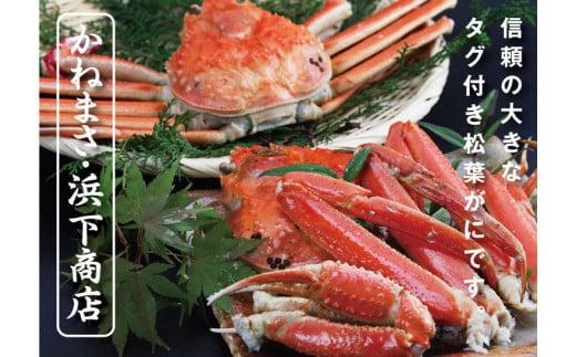 鳥取賀露港 浜茹で松葉がに【かねまさ・浜下商店】