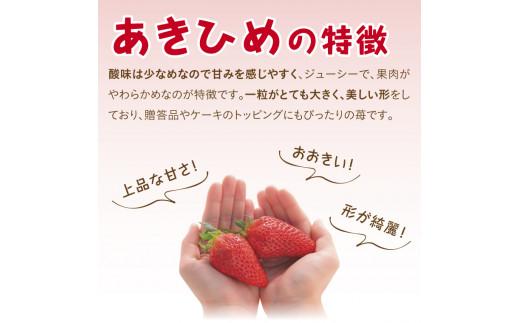 あきひめDX 500g 鳥取いちご【とみハウス】
