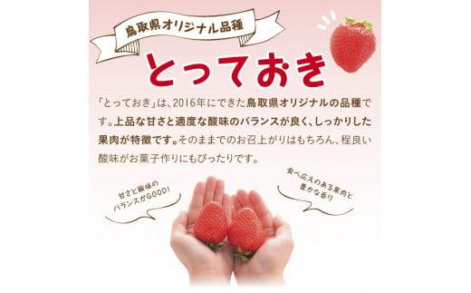 とっておきDX 500g 鳥取いちご【とみハウス】