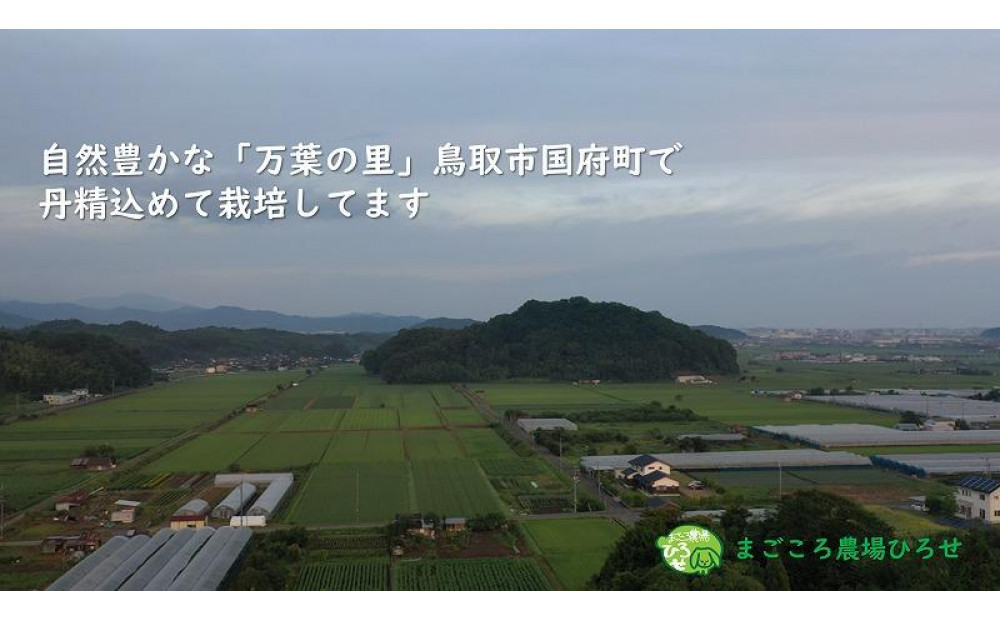 万葉の里鳥取市国府町産「万葉もち麦」2kg