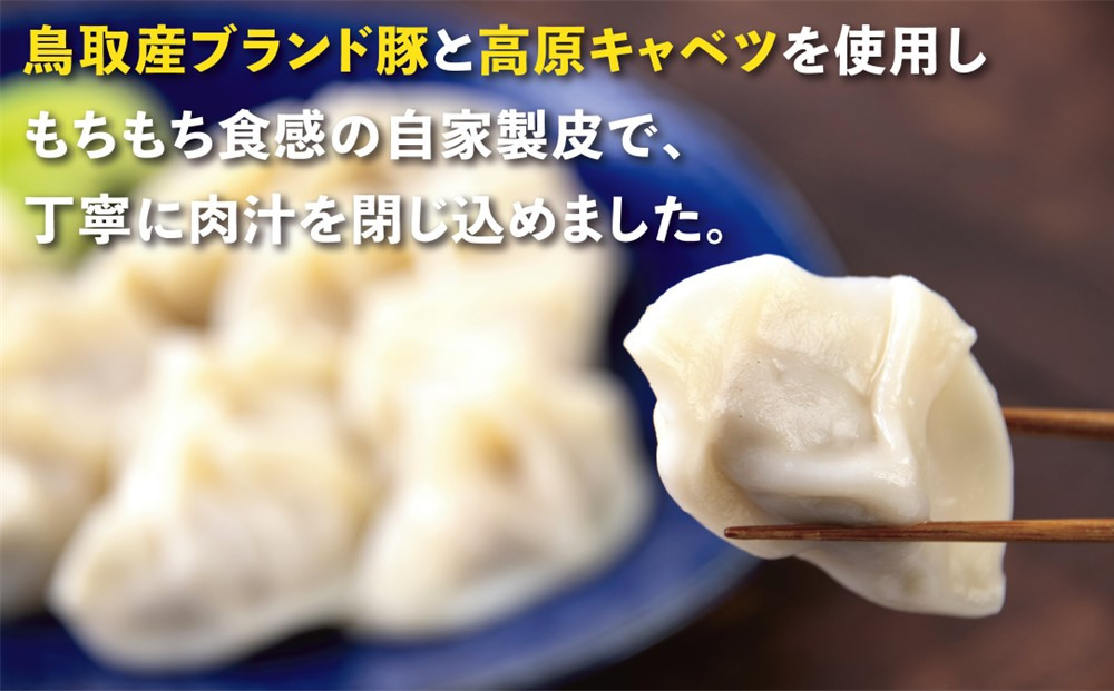 台湾水餃子 豚水餃子 60個セット (30個入り×2パック)