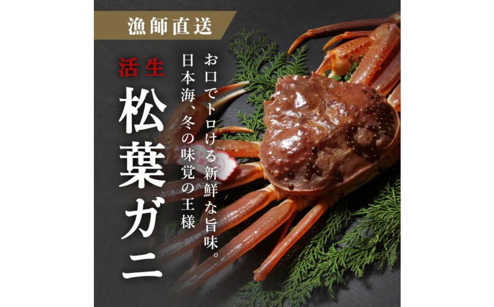 松葉ガニ 訳ありBセット※着日指定不可※【弁慶丸】