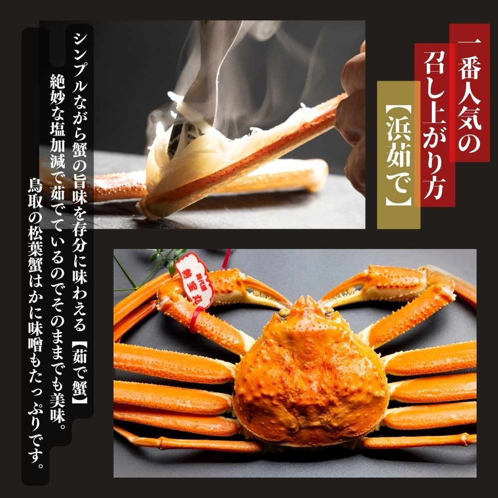【特選】松葉ガニ 大サイズ 約700g～800g タグ付(茹で)