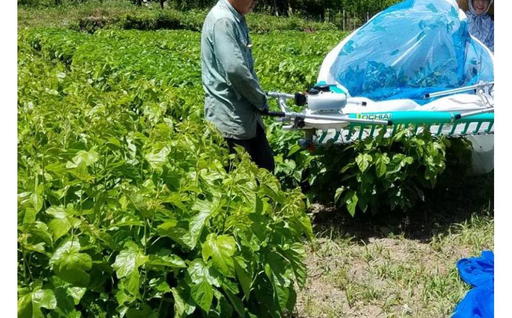 有機 桑の葉茶・有機 菊芋の葉茶 ノンカフェインセット