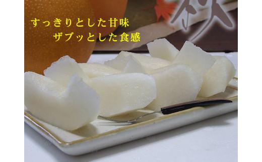 王秋梨 訳あり 5kg 鳥取県産【フォーシーズン】