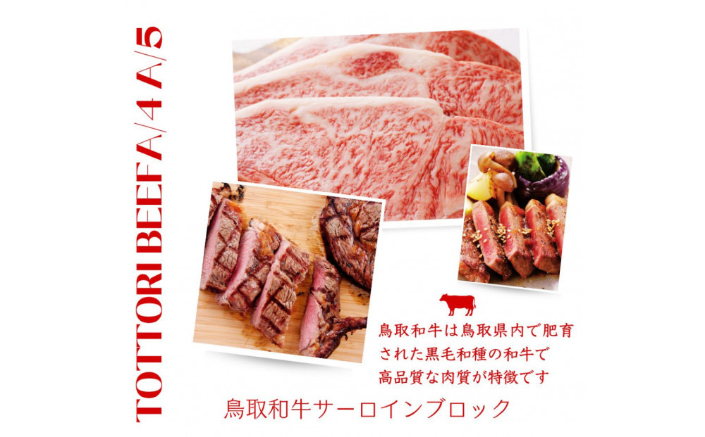 鳥取和牛 サーロインブロック 3kg