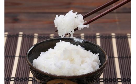 【先行予約】鳥取県産特別栽培米こしひかり ( 5kg )【2025年9月上旬稲刈り後出荷】