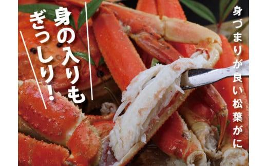 鳥取賀露港 タグ付き浜茹で松葉がに【かねまさ・浜下商店】