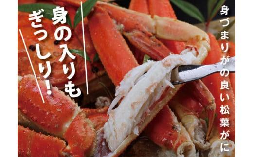鳥取賀露港 訳あり浜茹で松葉がに 大 1枚【かねまさ・浜下商店】