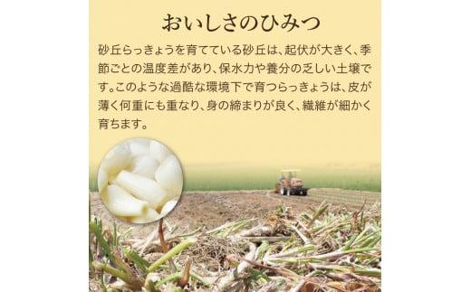 特別栽培らっきょうの甘酢漬（6袋セット）