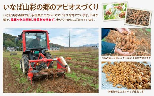 世界三大健康野菜 アピオス 1キロ