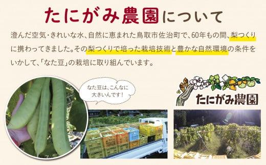 たにがみ農園のなた豆茶 6袋セット