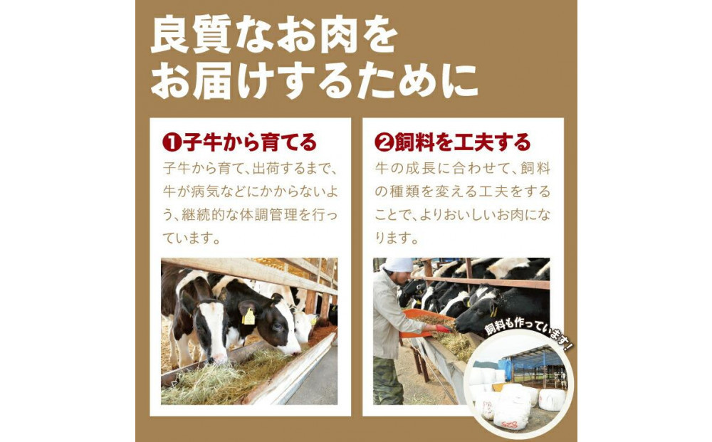 鳥取牛サンカクバラ焼肉用 600g（冷凍）