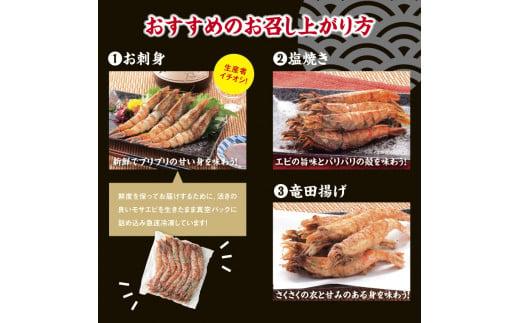 猛者海老 15匹×2パックセット【山根商店】
