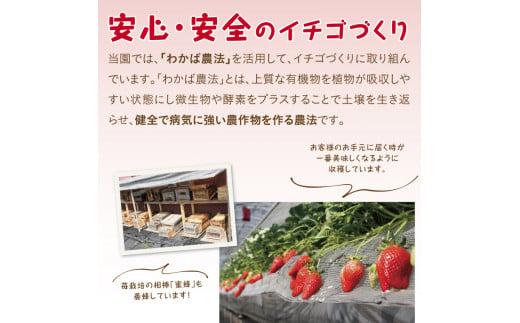 あきひめDX 500g 鳥取いちご【とみハウス】