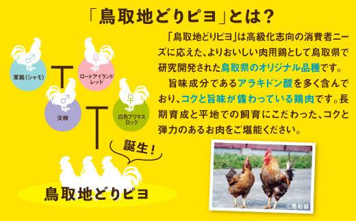 鳥取地鶏使用 キーマカレー 180g×5個セット