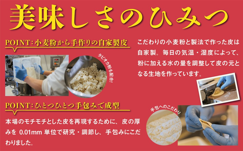 台湾水餃子 豚水餃子 60個セット (30個入り×2パック)