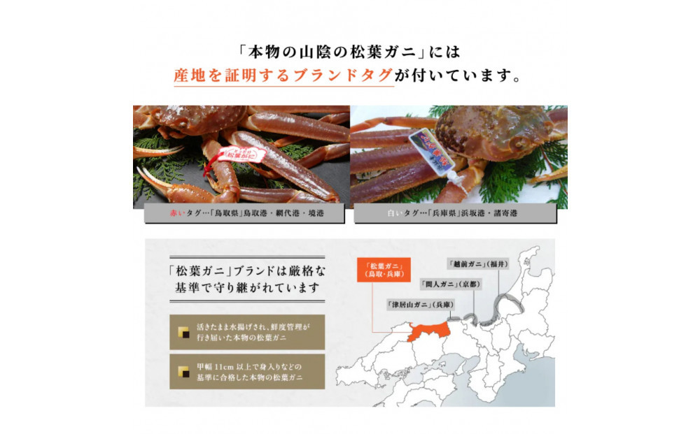松葉ガニ 訳ありBセット※着日指定不可※【弁慶丸】