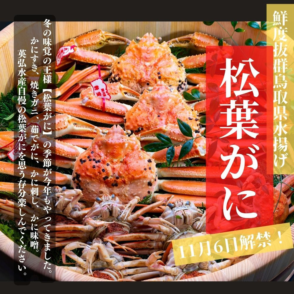【特選】松葉ガニ 中サイズ 約450g～600g タグ付(茹で)