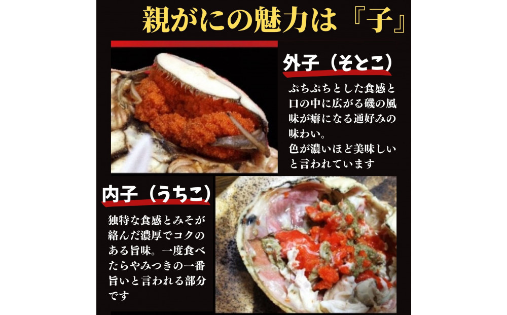 【特選】親がに(せこがに) 10枚セット (浜茹)