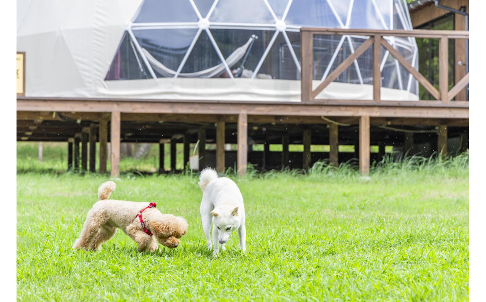 鳥取砂丘でグランピング体験 グランドーム砂優 ご宿泊割引券 2万円分