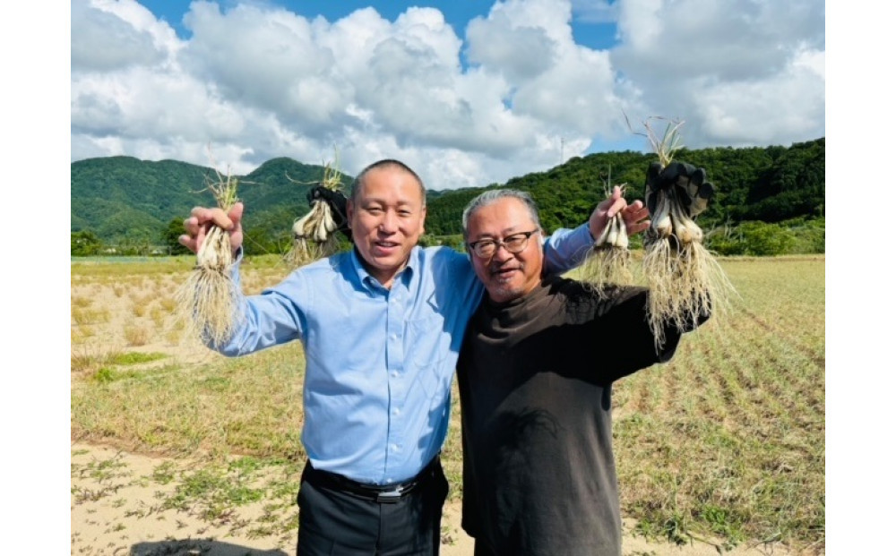 梨のフルーツらっきょう 75g×10個