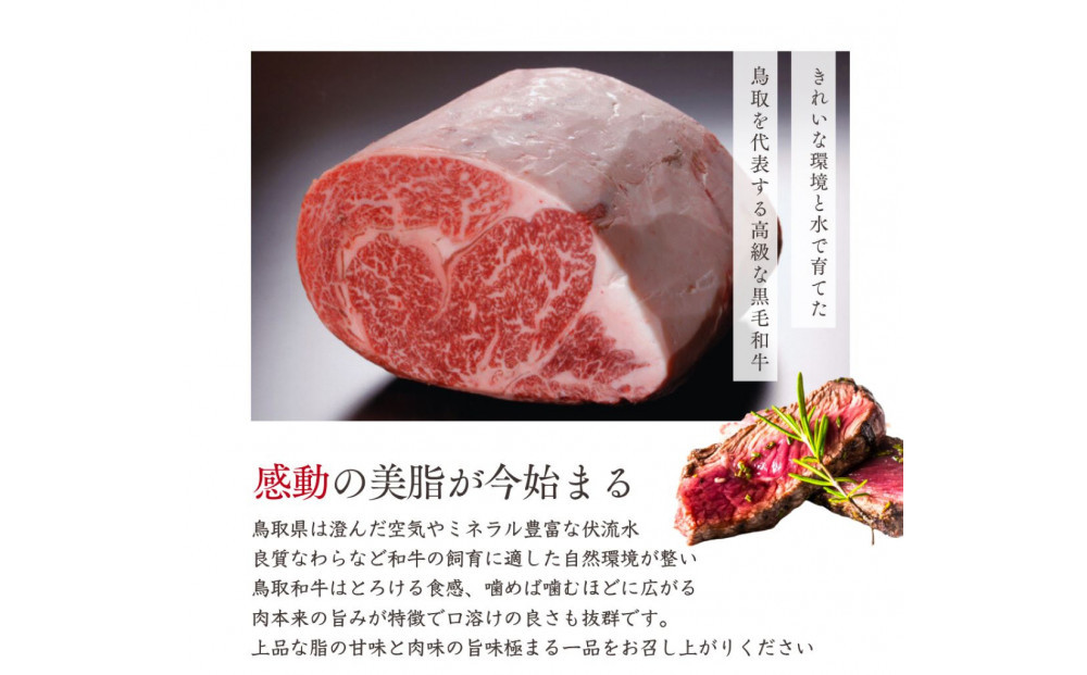 鳥取和牛 サーロインブロック 3kg