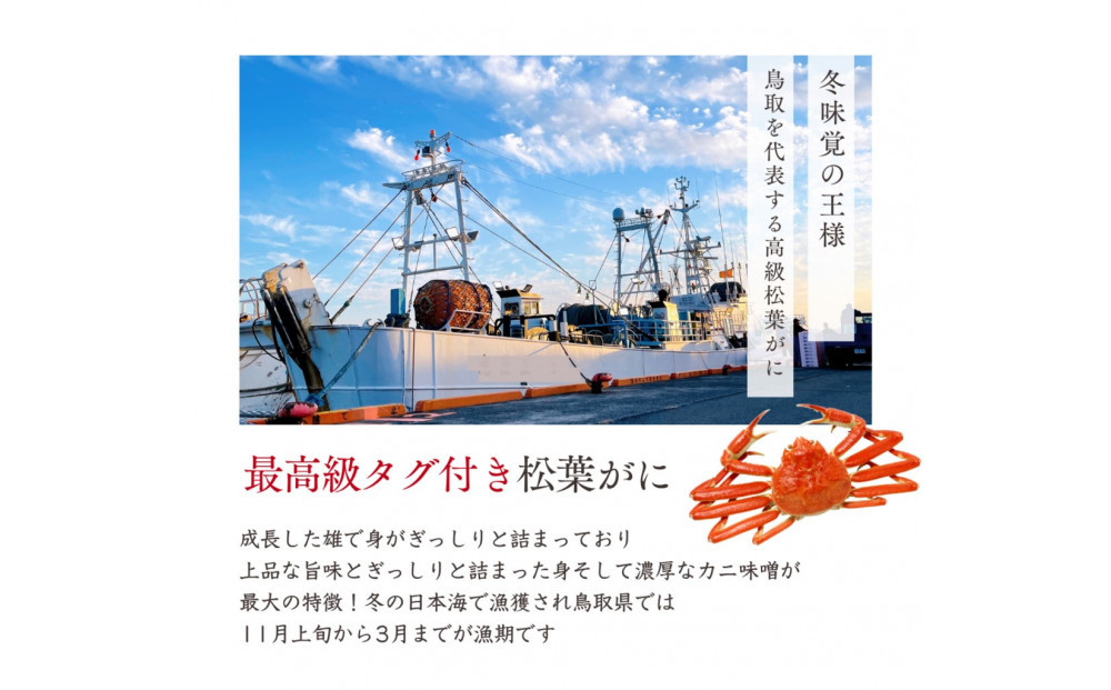 松葉がに タグ付き（茹で）中サイズ 1枚