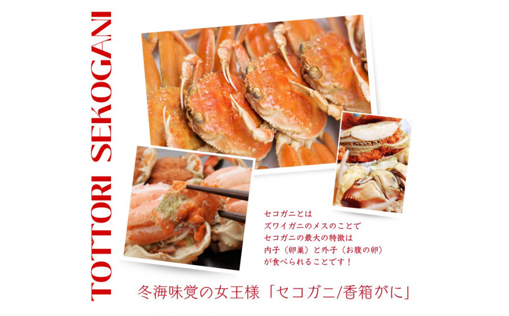 【訳あり】セコガニ 小サイズ 5枚 (茹で)