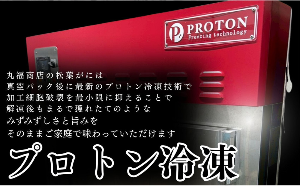 丸福商店社長厳選　鳥取港松葉ガニ