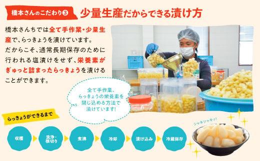 橋本さんちの砂丘らっきょう甘酢漬け 800g
