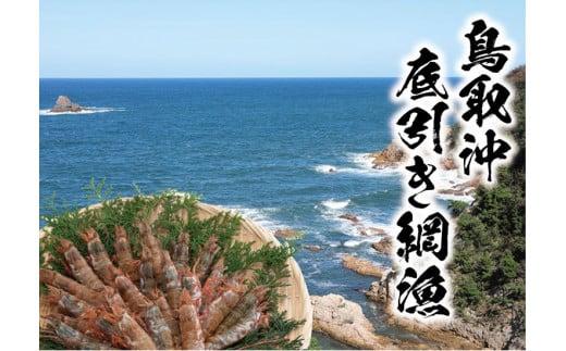 鳥取産 冷凍モサエビ