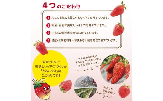 あきひめDX 500g 鳥取いちご【とみハウス】