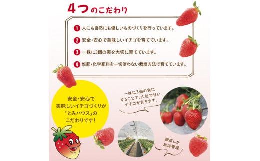とっておきDX 500g 鳥取いちご【とみハウス】