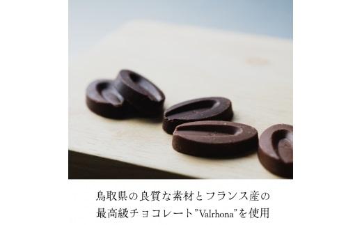 生チョコレートプレーンセット 16個入