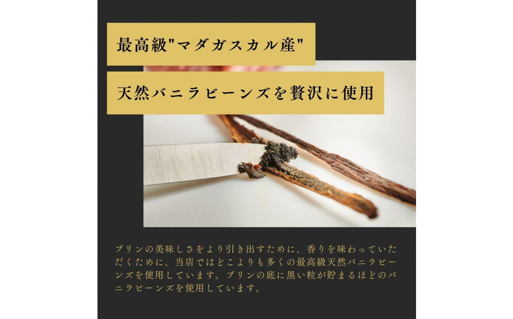 プリン専門店Totto PURIN プリン食べ比べ12個セット