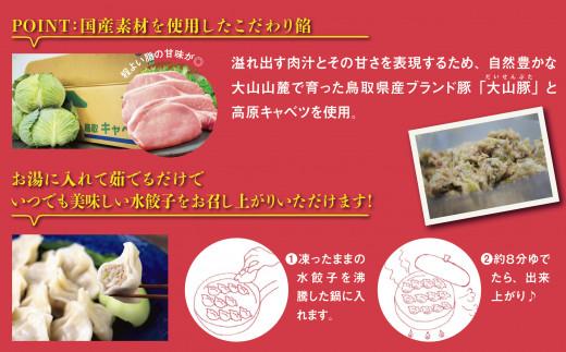 台湾水餃子 豚水餃子 30個入り